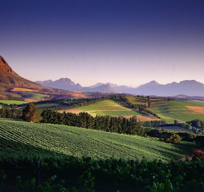 view-on-the-big-5-wine